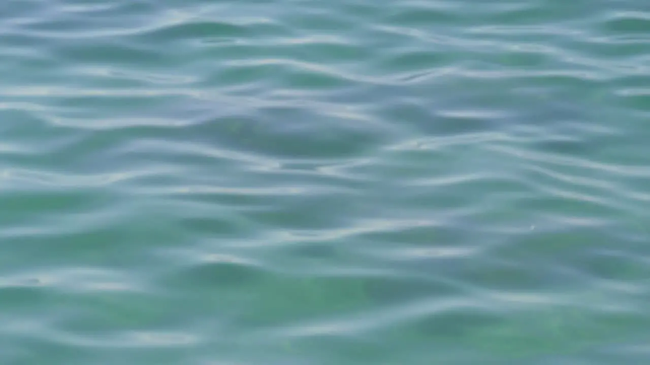 Clear blue calm ocean water in slow motion