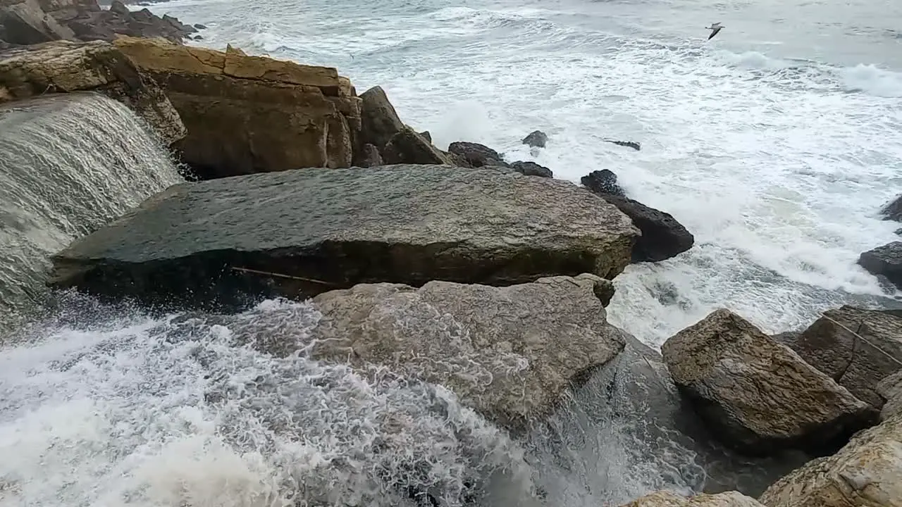 Small waterfall flows into the sea seagull flies