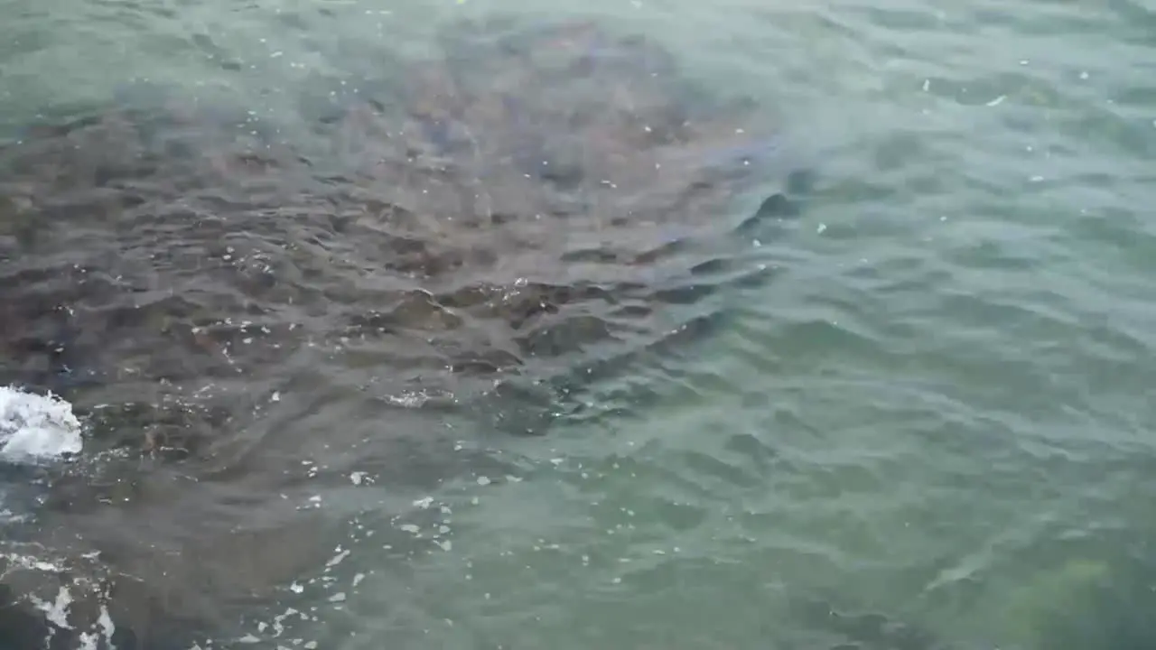 relaxing sea water flowing through rocks-pan right