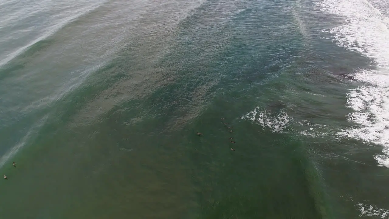 Aerial following low flying sea birds from above close to ocean surface 4K