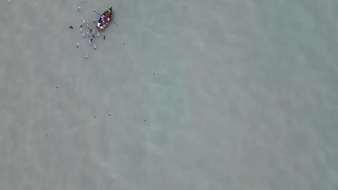 Aerial birdeye shot of a turquoise sea with