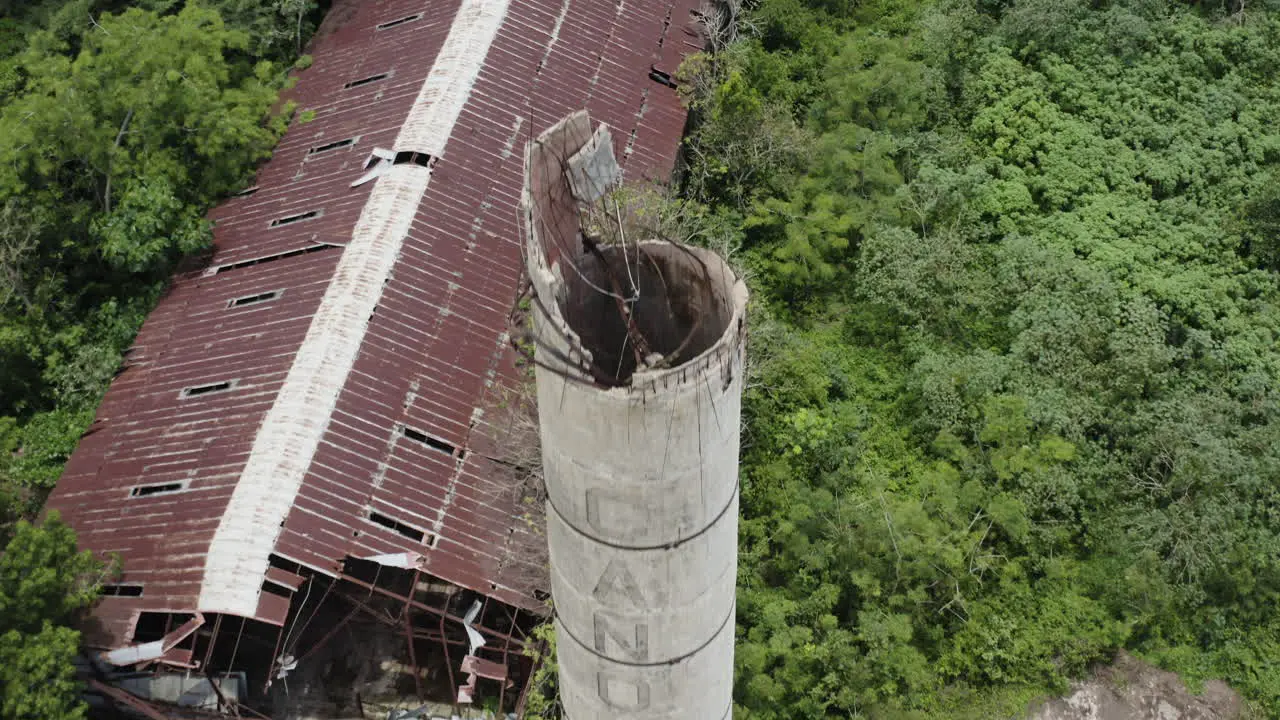 Jungle undergrowth slowly reclaims the land where a long-abandoned and now derelict warehouse once stood in the heart of Puerto Rico