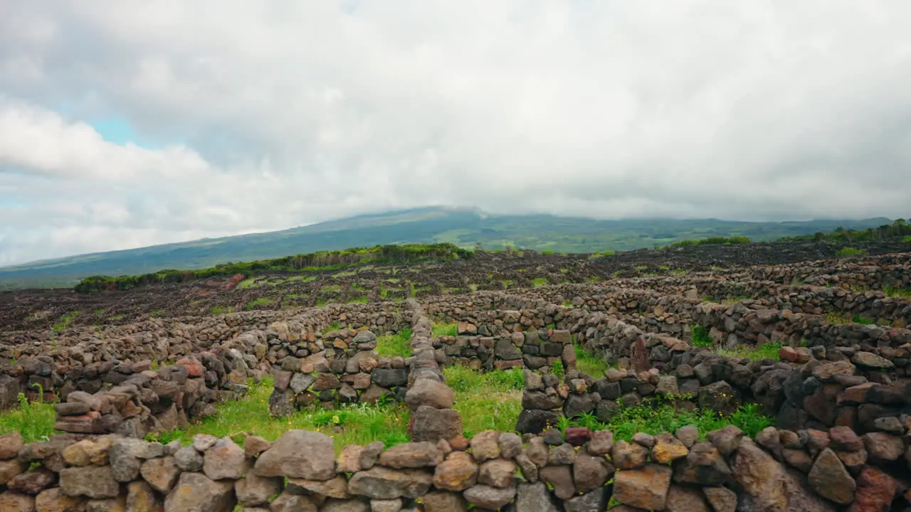 Wide shot of Lava Rock for vineyard walls on Pico island in the Azores Portugal