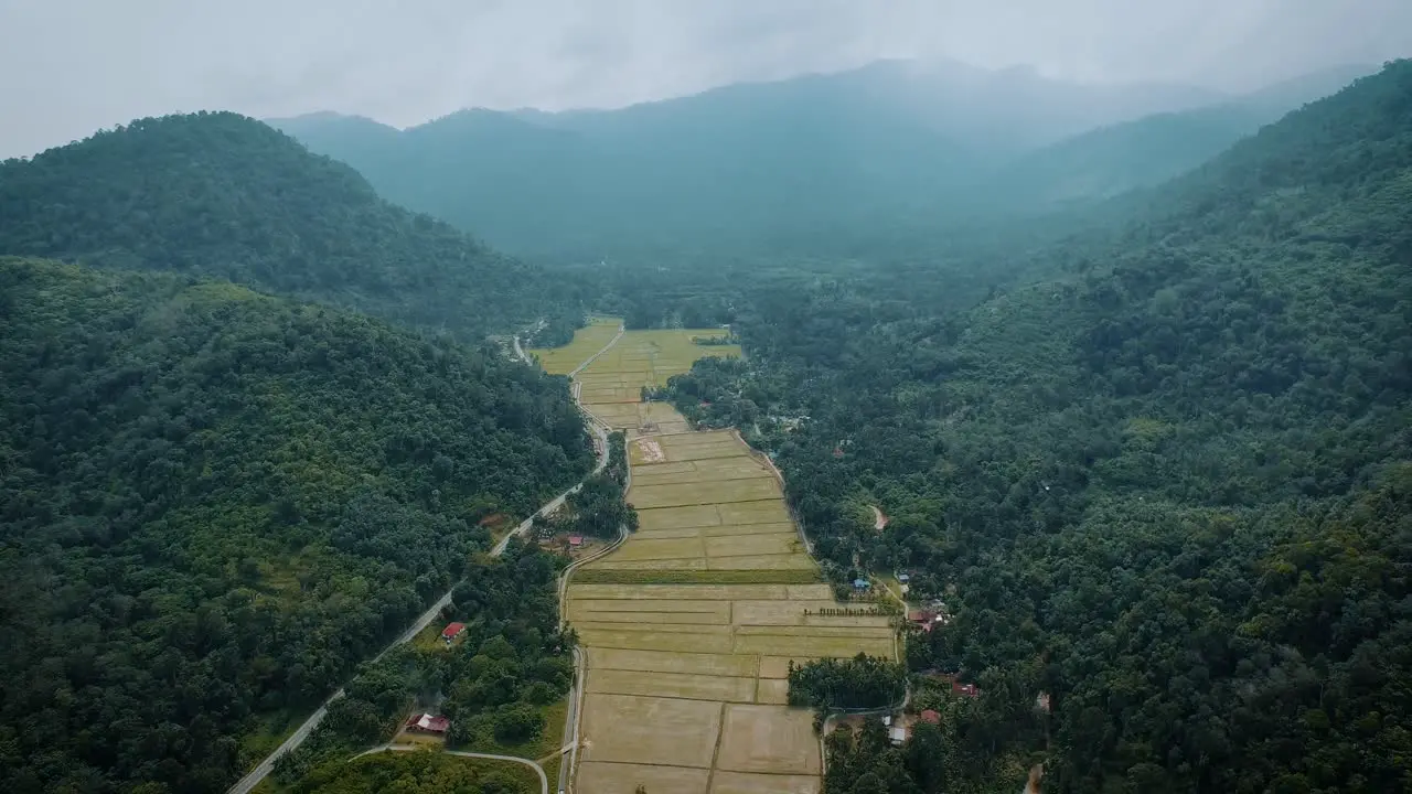 Aerial shot Rice field in between of valley in Malaysia