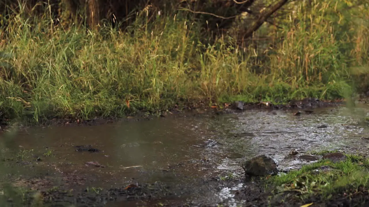 Close Up of People Driving a Ranger Four Wheeler Through a Muddy Water 1080p 60fps