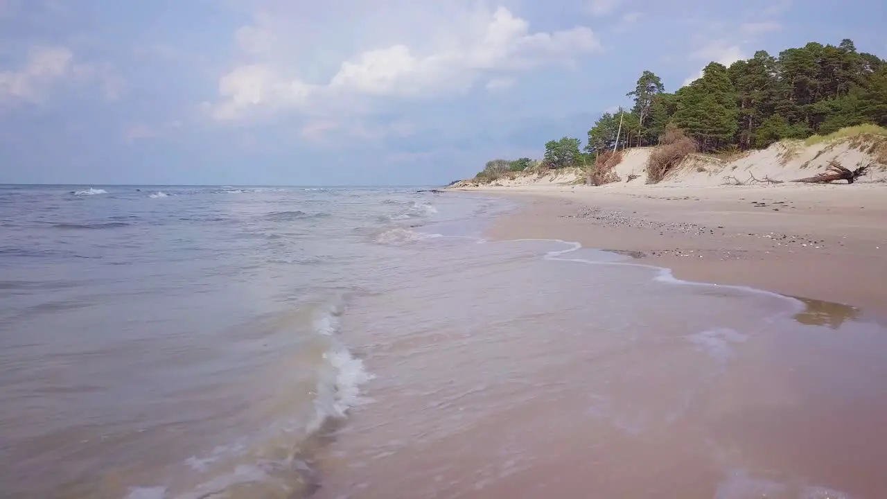 Aerial view of Baltic sea coast on a sunny day white sand seashore dunes damaged by waves pine tree forest coastal erosion climate changes wide angle drone shot moving forward low over the water