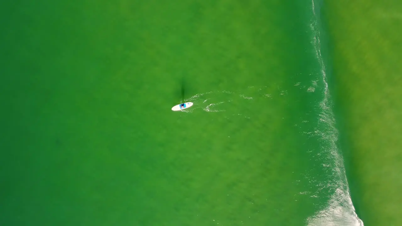 Drone aerial shot of Stand Up Paddle Boarder on Sandy beach wave shoreline break Pacific Ocean Terrigal Central Coast NSW Australia 3840x2160 4K