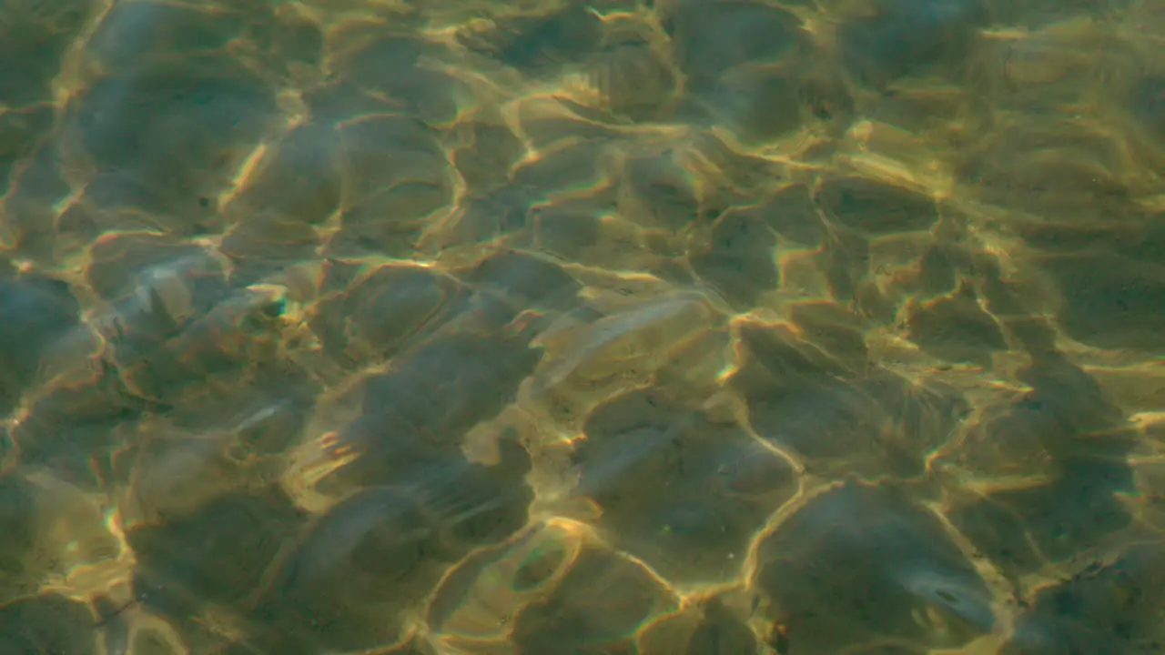 The Sparkling And Clean Water Of A Shallow Sea On A Sunny Day Close Up Shot