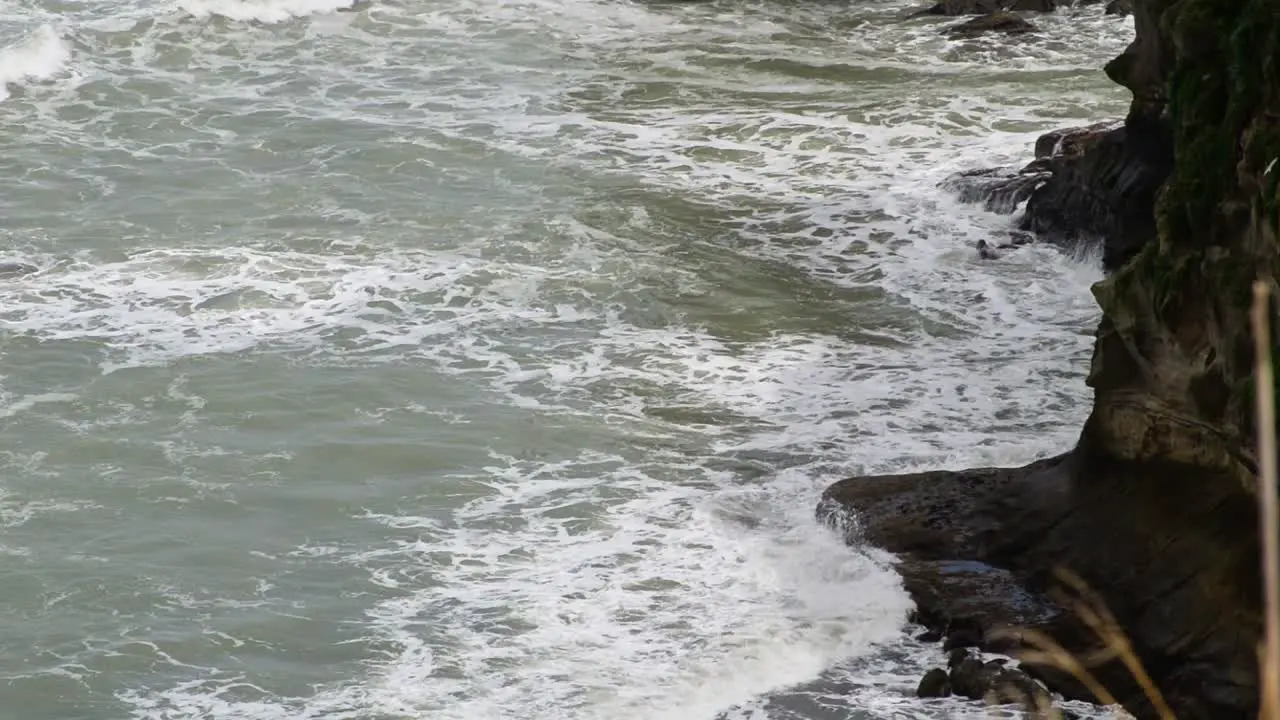 Waves crashing onto high dark cliffs during seabird's mating season in Muriwai New Zealand