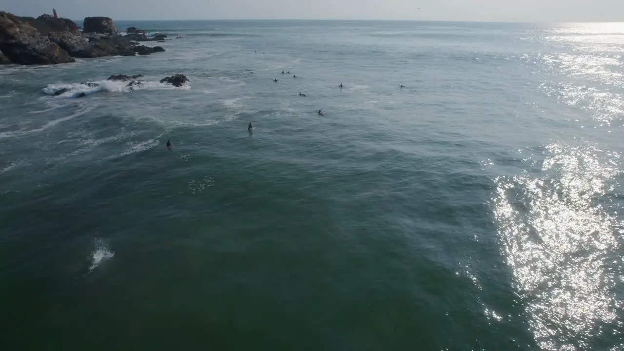 Aerial shot of a group of surfers waiting on a wave with a large bird diving into the water