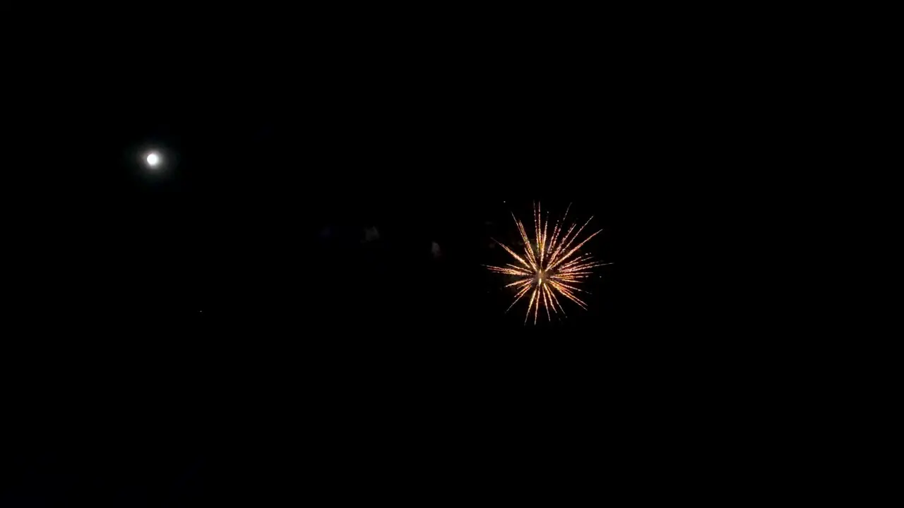 Low angle shot of celebratory fireworks bursting in the distance fill the night sky