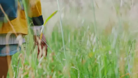 Freiheit Frau Und Hand Im Feld