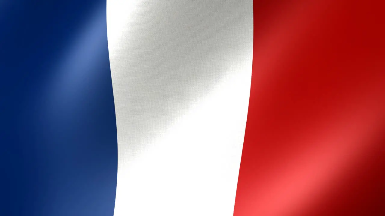 World Flags France