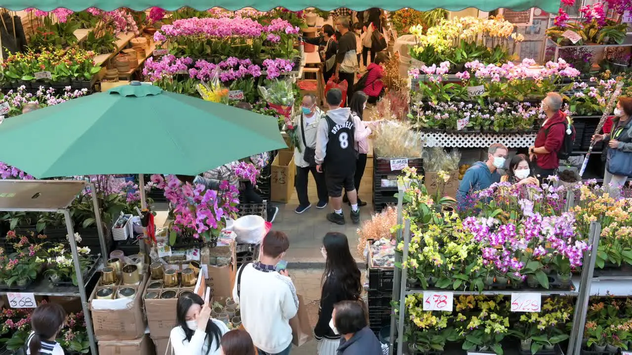 Chinese shoppers buy decorative Chinese New Year theme flowers and plants at a flower market street stall ahead of the Lunar Chinese New Year festivities in Hong Kong