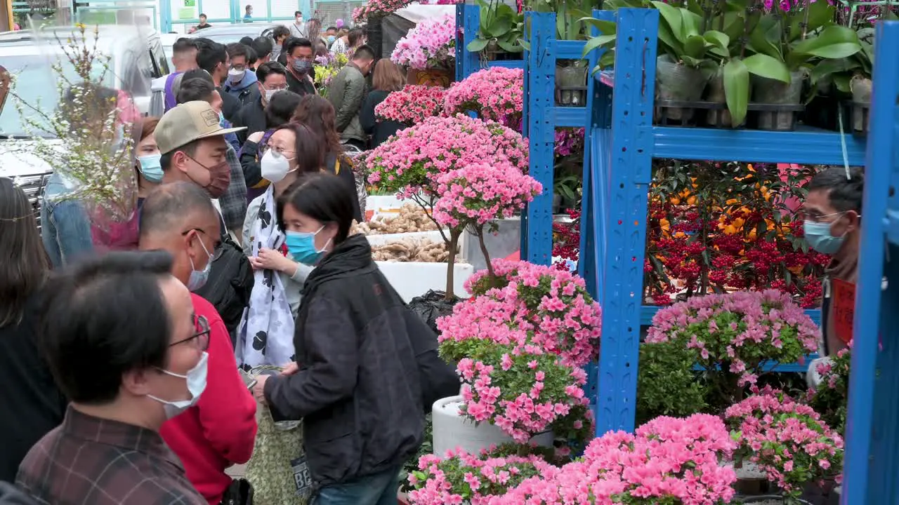 Customers buy decorative Chinese New Year flowers and plants at a flower market street stall ahead of the Lunar Chinese New Year festivities