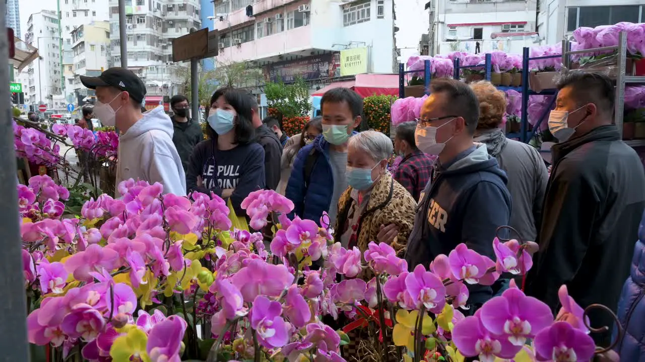 Chinese shoppers buy decorative Chinese New Year theme flowers and plants such as orchids at a flower market street stall ahead of the Lunar Chinese New Year festivities