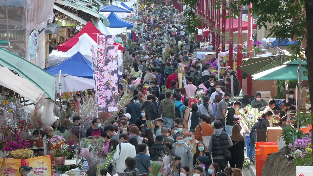 Hundreds of people buy Chinese New Year festive flowers at a flower market ahead of the upcoming Lunar Chinese New Year in Hong Kong