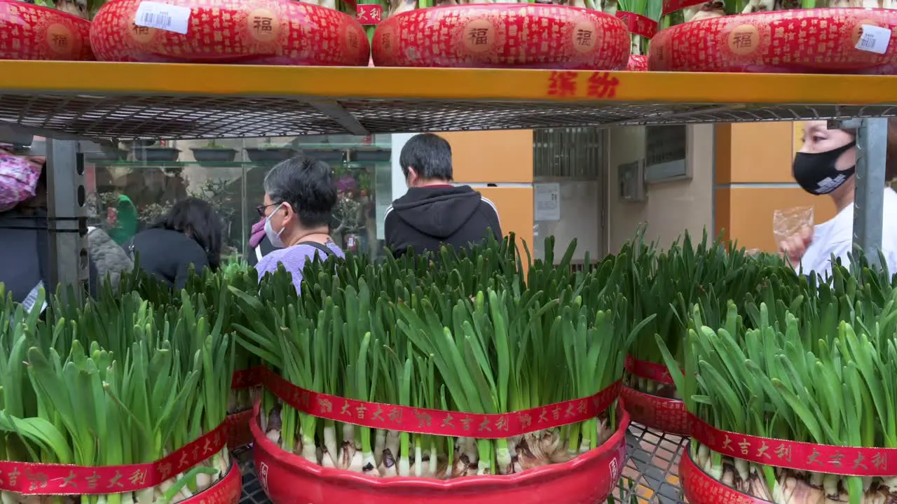 Pedestrians walk past a shop selling flowers and plants in preparation for the upcoming Lunar Chinese New Year at a flower market in Hong Kong