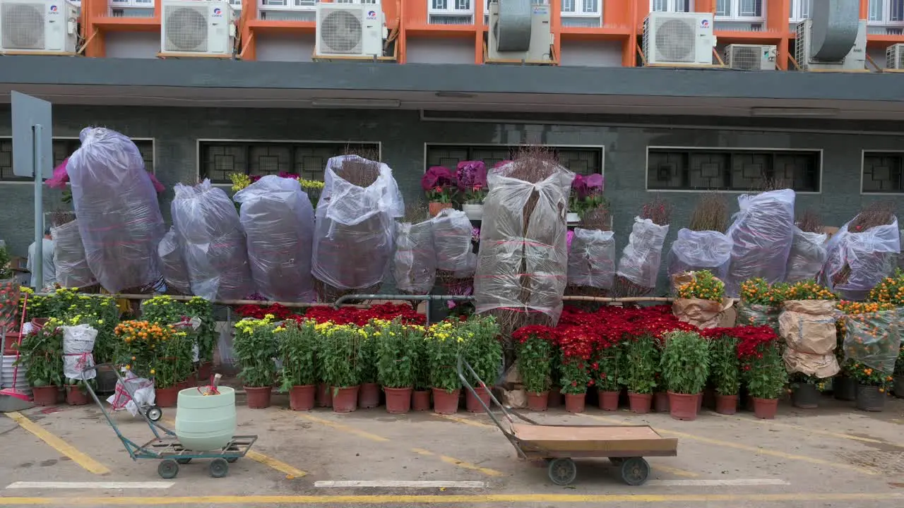 Numerous plants are for sale at a flower market during the Chinese New Year festivities