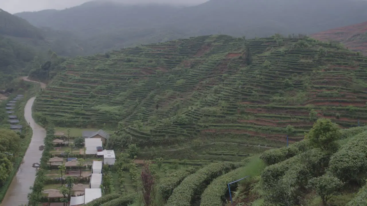 Mountain landscape with Chinese green tea plantation terraces on the slopes and tourist camping tents down below on an overcast rainy day