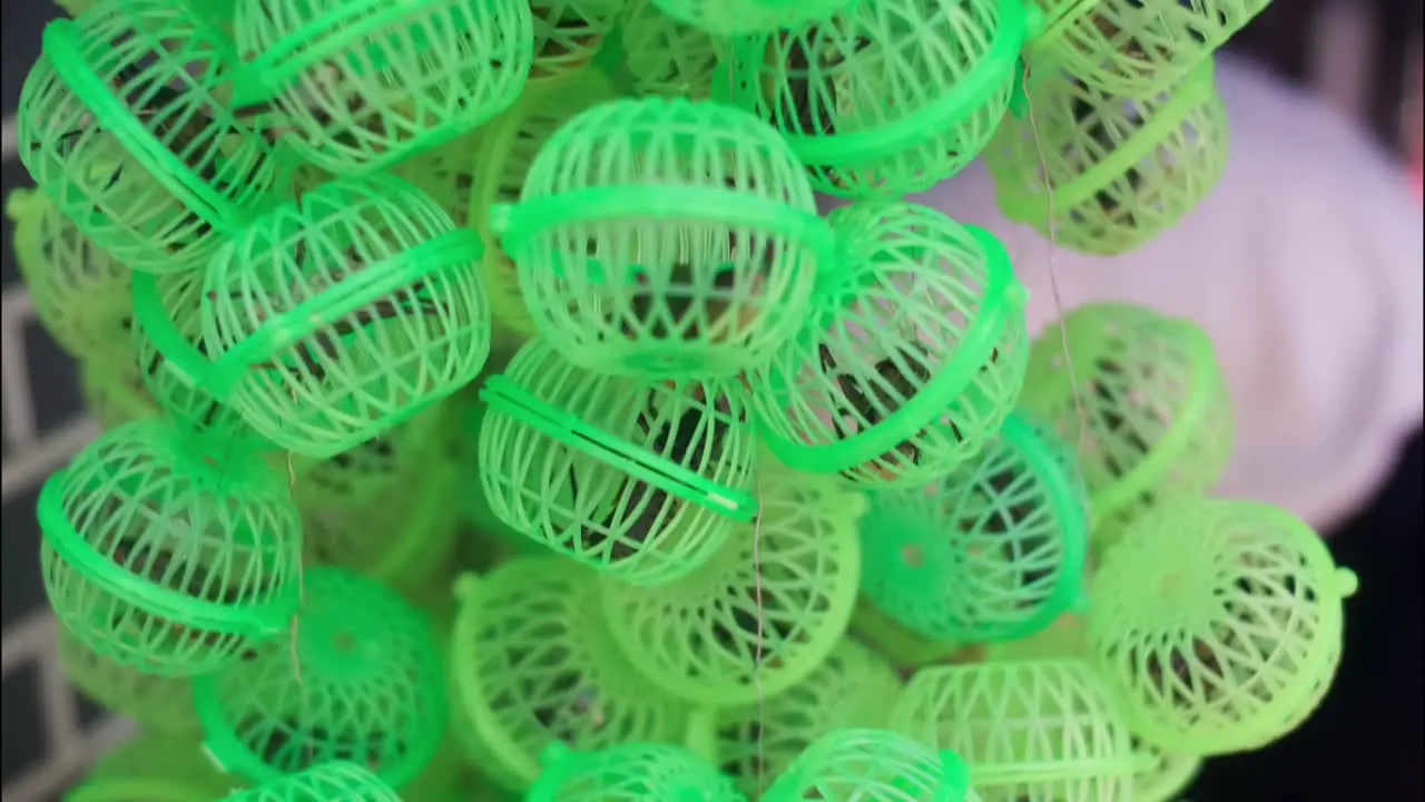 Crickets in small cages ready to be sold on the street in Shanghai