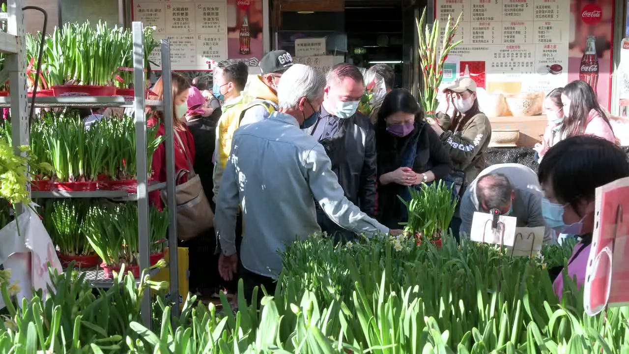 People shop for Water Narcissus plants at a flower market during Chinese New Year