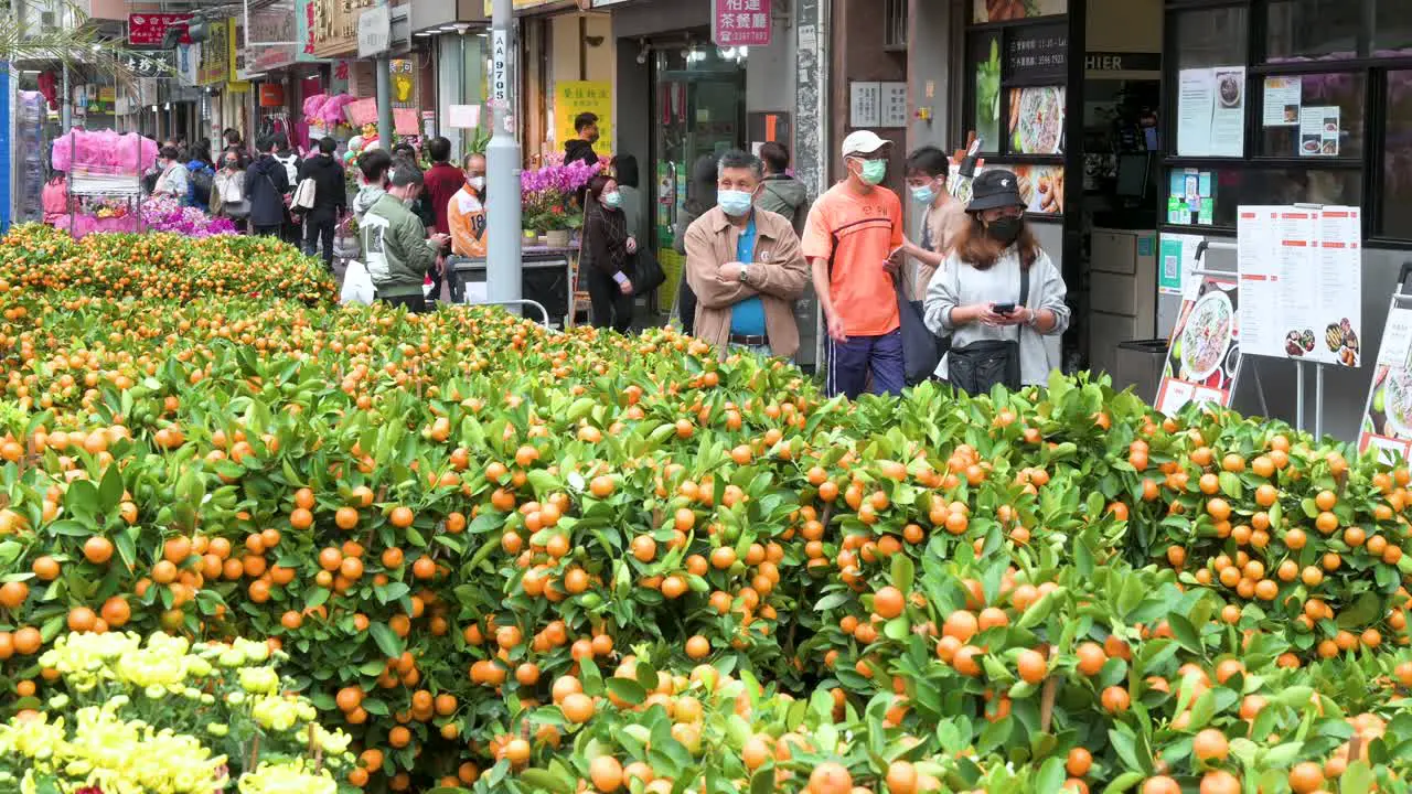 Pedestrians walk past a street stall selling kumquat trees also known as tangerine trees a typical Chinese New Year decorative ornament for households and businesses ahead of the festivities