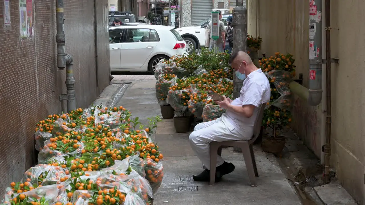 A man uses his phone at a flower market alley as kumquat trees also known as tangerine trees the stock is hidden from the public during the preparation for the upcoming Lunar Chinese New Year 