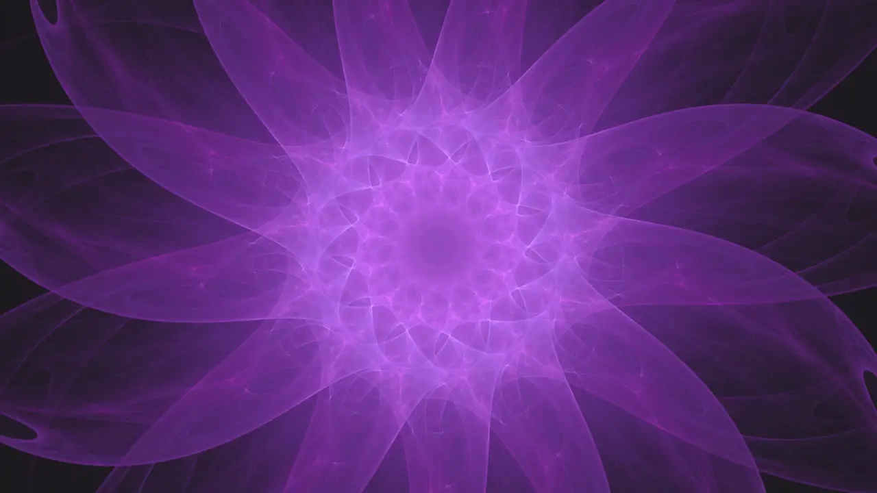 Abstract purple fractal flower and petals mandala spiraling in circles seamless looping nonstop 3d animation