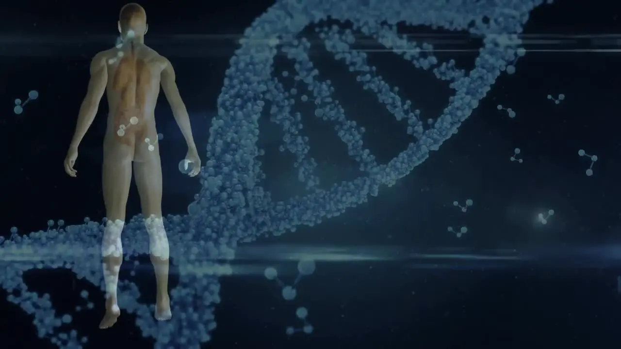 Animation of dna strand spinning and medical data processing