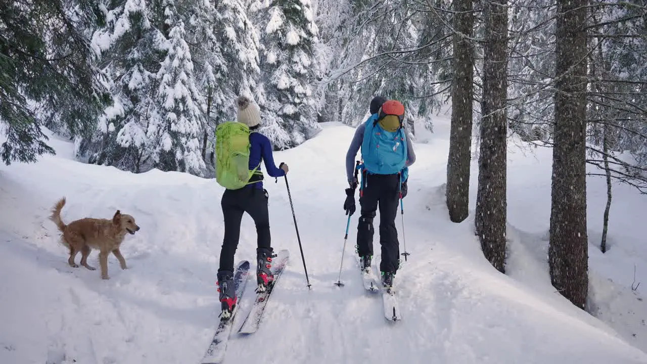 Couple skiing with a happy dog in snow forest as a family