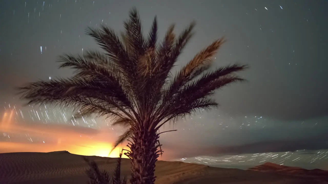 Desert Stars Trails 00