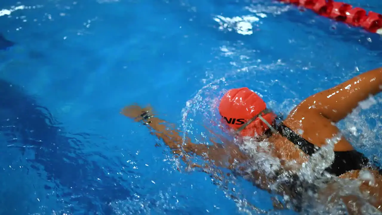 professional swimmer swimming butterfly in olympic pool in swimming and triathlon competition