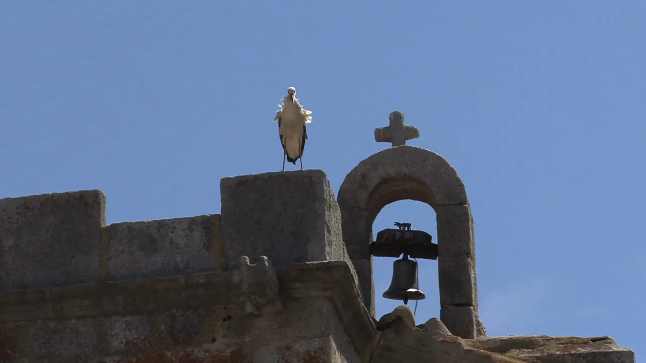 Spain stork and church 2