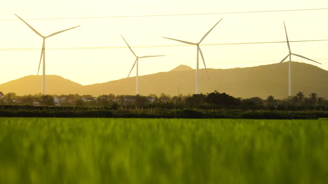 Wind turbine propellers spinning during bright golden hour on green grass rice field