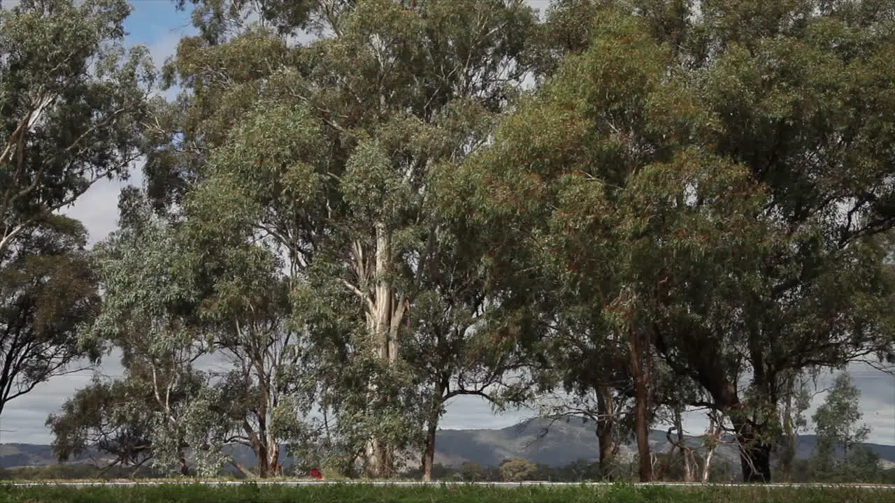 Large white truck driving across frame along a main highway in Australia