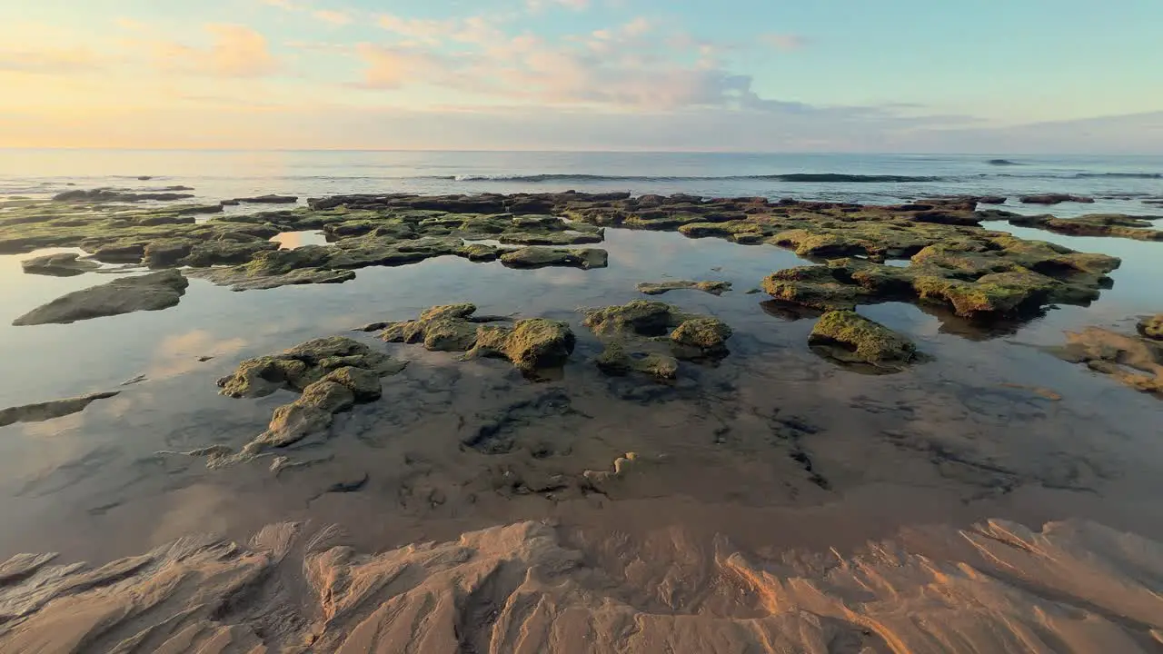 Camera trucking left on mossy shore shallow sea