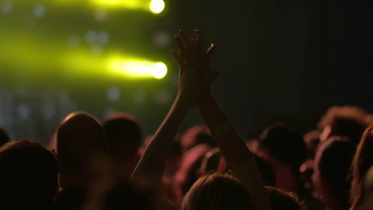 Woman applauding among the crowd