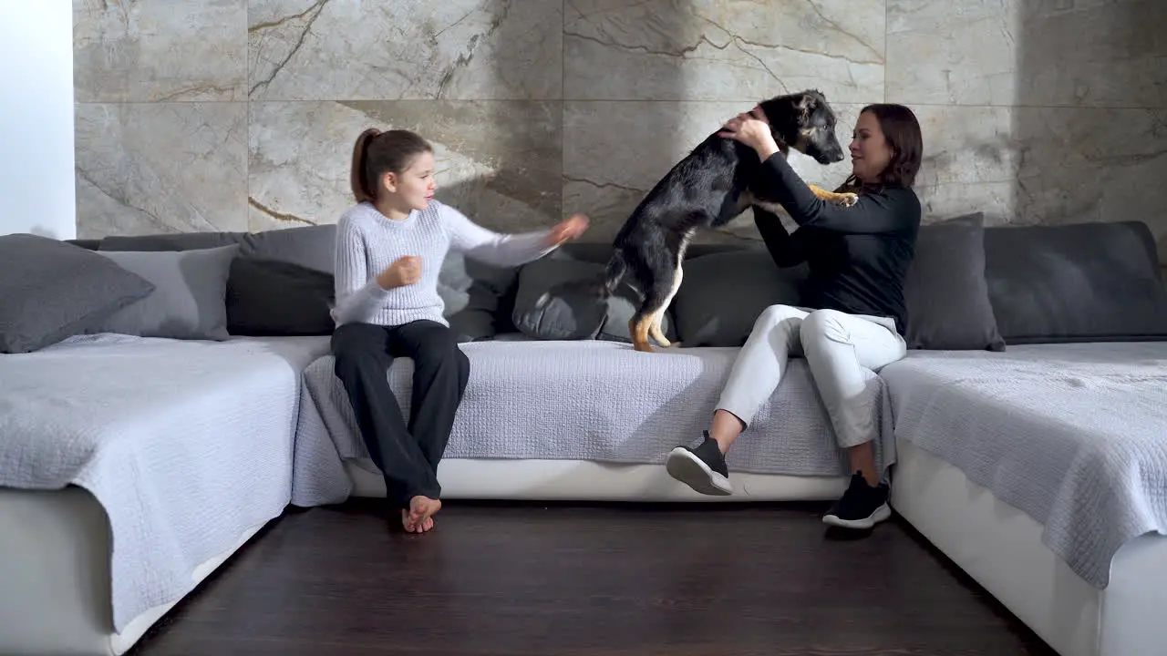 Mother and daughter playing with mixed-breed puppy on large sofa