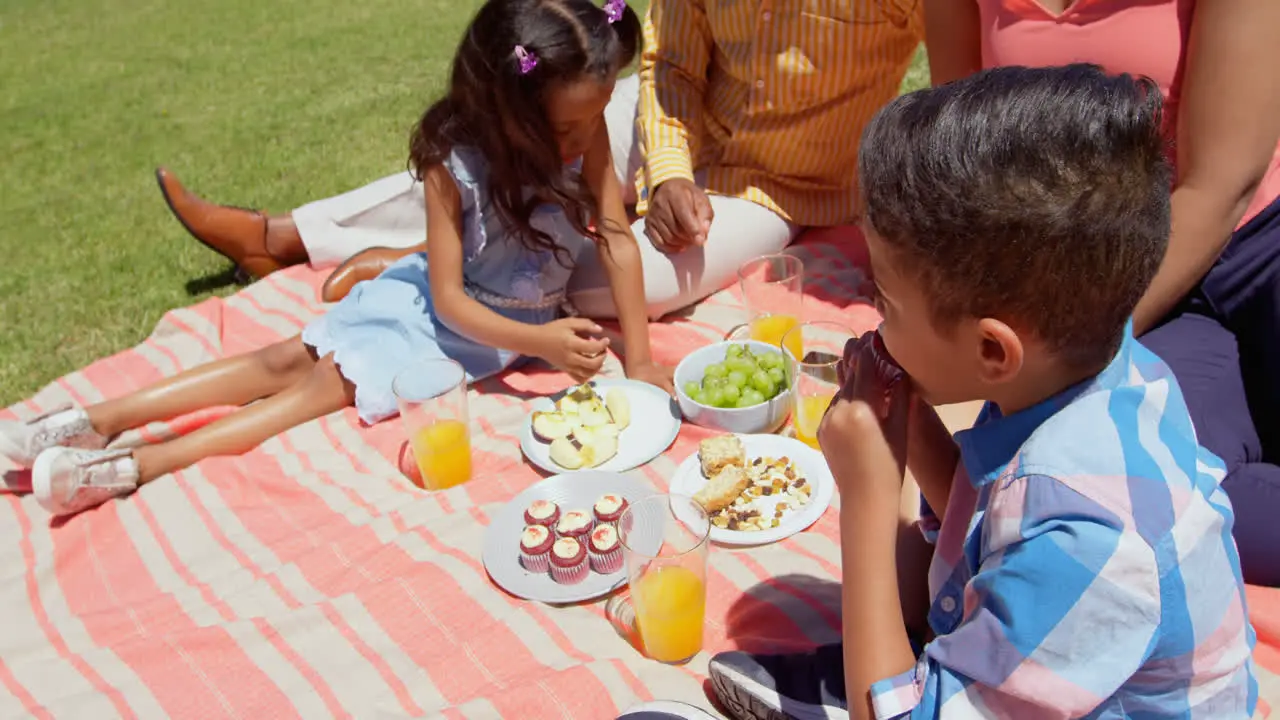 Front view of black family having picnic in the park on a sunny day 4k