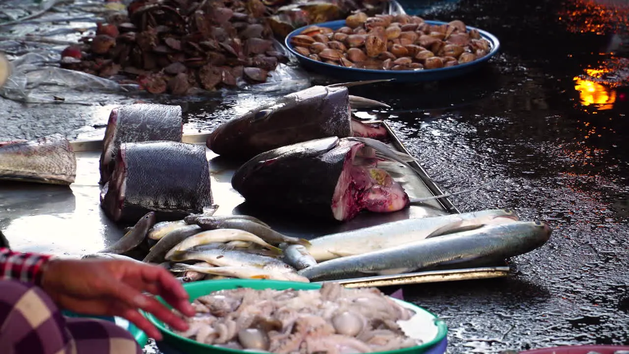 Fresh fish being sold on asphalt