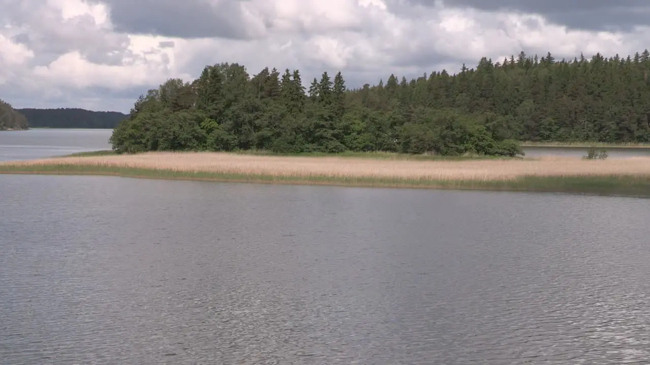 Lake with common reed in Finland