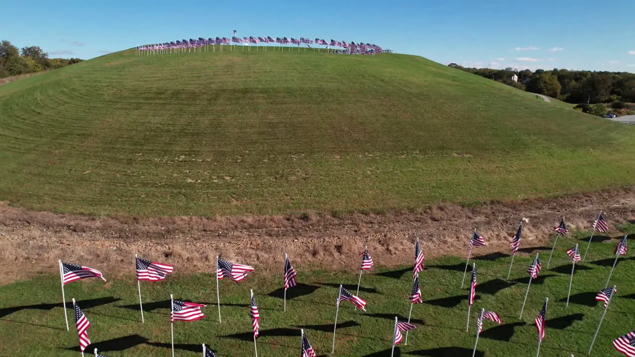 Many American flags blowing autumn