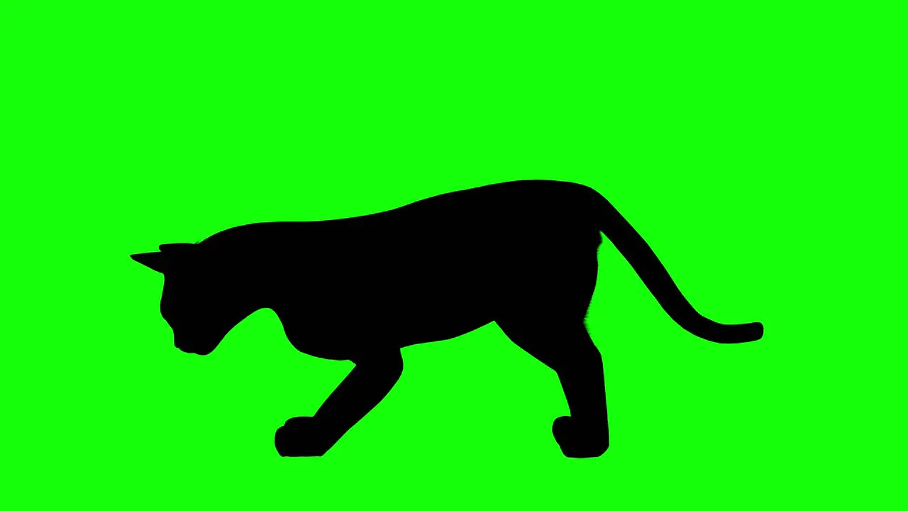 Silhouette of a cat eating on green screen side view