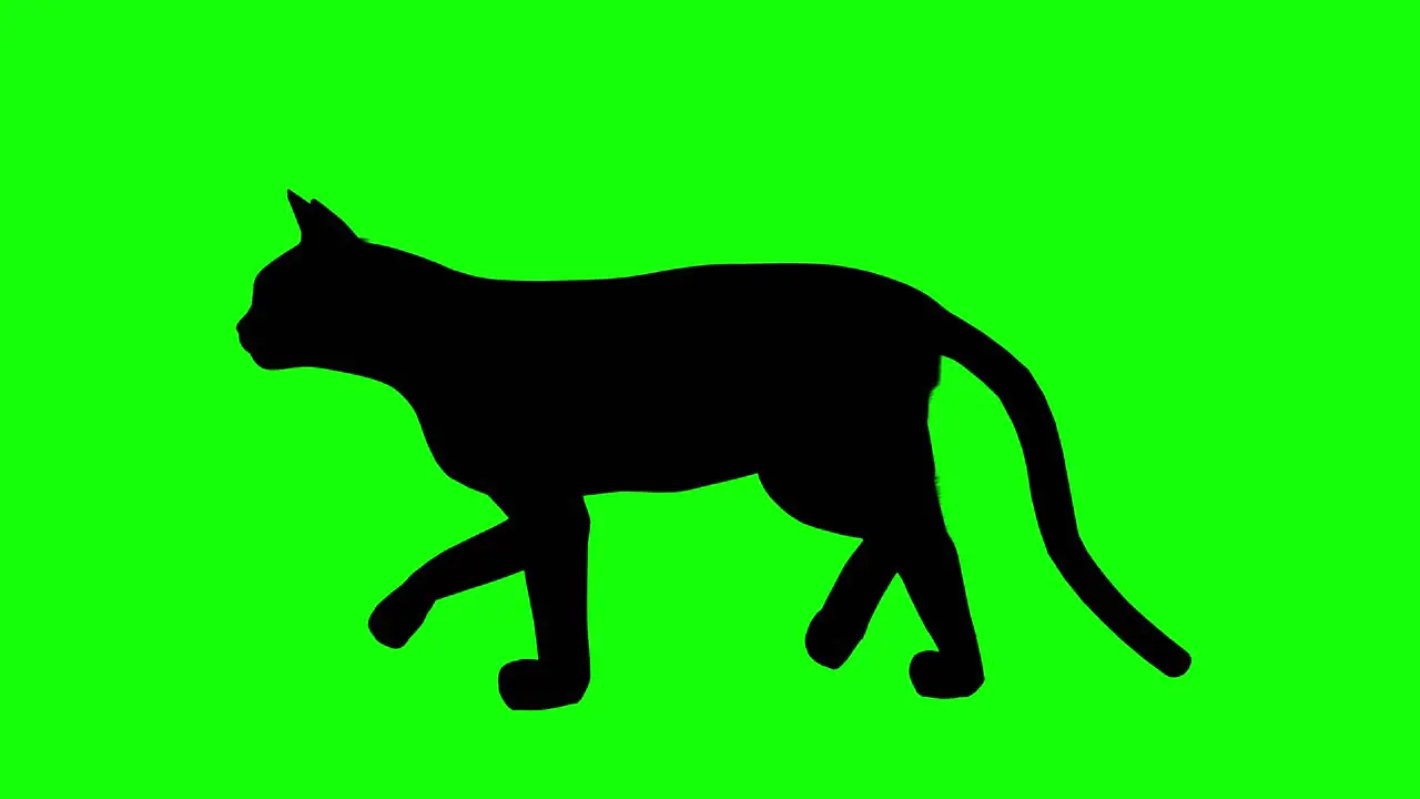 Silhouette of a cat walking on green screen side view