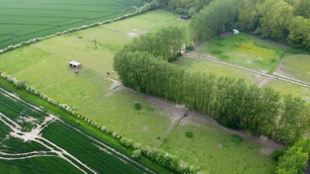 Aerial video of fields with horses