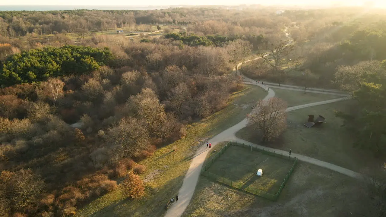 Aerial view of people running in autumn park trails at sunrise Przymorze Poland