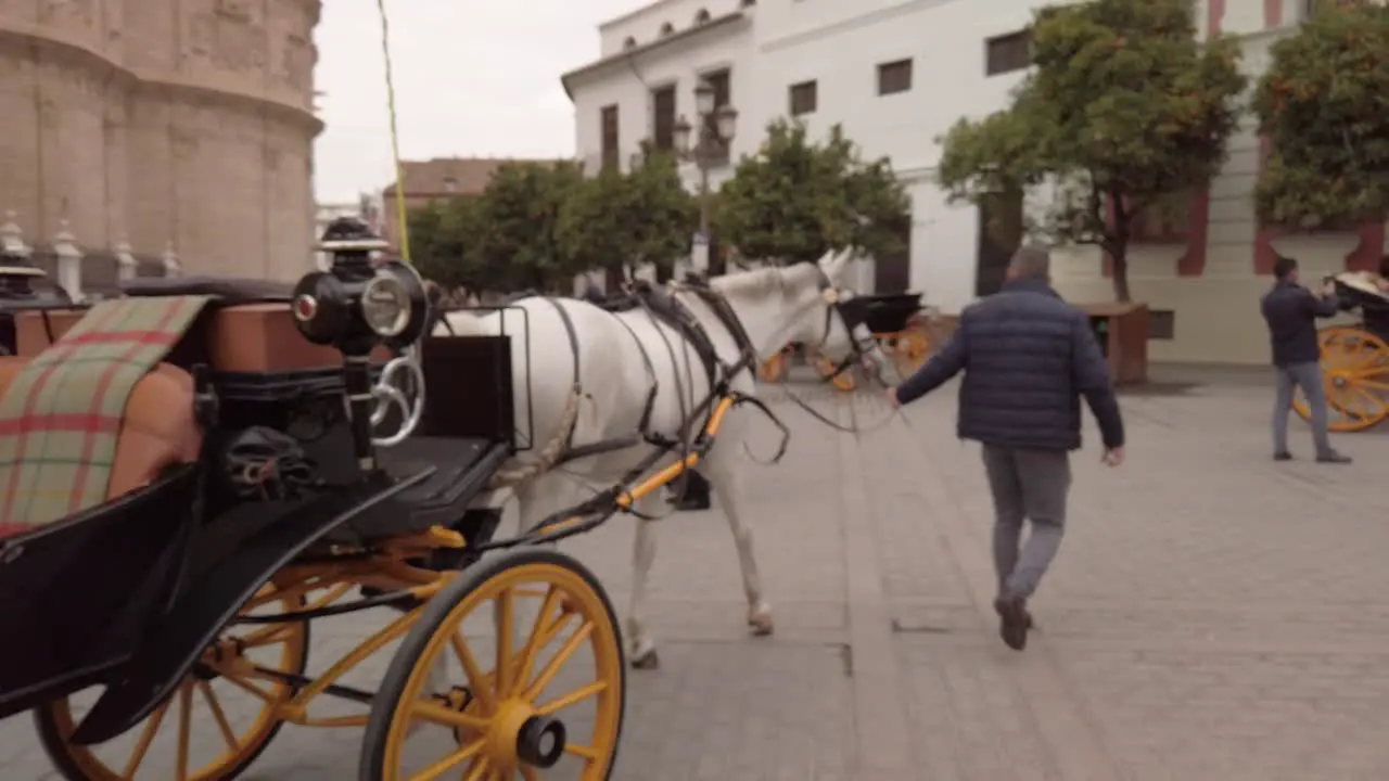 Man leads horse pulling empty carriage in square in Seville Spain