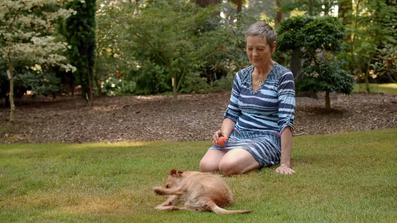 Older woman watching cute small dog rolling in the grass joy fun