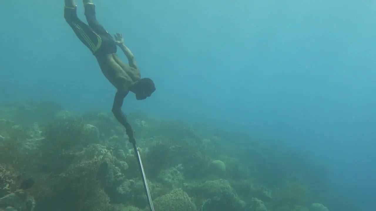 fishermen shoot fish in the beauty of the underwater world